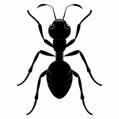 Ant vector silhouette black design white background