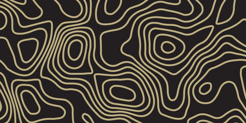 Topographic map patterns, topography line map. Vintage outdoors style. Abstract topographic contours map background. Abstract Topographic Pattern in Black and White.