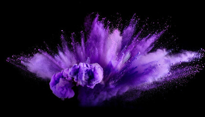 purple powder explosion isolated on black history