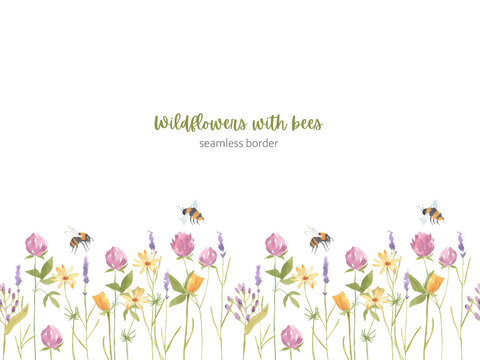 Watercolor hand drawn seamless border of wildflowers with fly bees on white background. Clever, tulip, lavender flowers banner. 