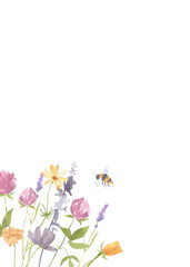 Watercolor illustration of meadow hand painted colorful wildflowers with a bee - vertical template on white background. Perfect to design postcard, posters, invitations. Flower spring plant bloom.