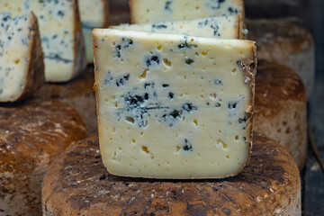 Pieces of tasty Blue Basque Fume smoked sheep cheese produced in south-western France, Northern Basque Country