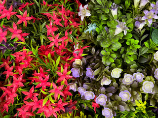 Series of decorative colorful fresh flowers displayed neatly. Rose, daisy, carnation, chrysanthemum, aster, and hydrangea flower in many colors. Beautiful floral decoration arrangement.