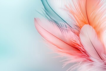 Obraz premium Delicate Pastel Pink and Teal Feathers Close Up Macro Shot