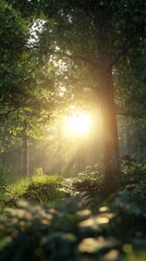 Obraz premium A serene forest scene with sunlight filtering through trees, creating a peaceful ambiance.