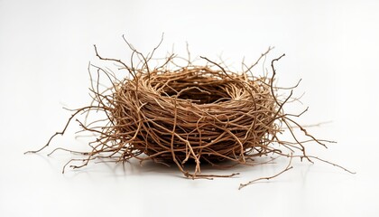 Obraz premium Dried plant nest on white background. Natural eco friendly decor. Intricate design of twigs, branches. Simple rustic style. Perfect for nature themed decor. Focus on detail, texture. Great for nature