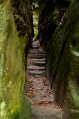 Scenic diversity of Mullerthal, Luxembourg's Little Switzerland, hiking routes, rock formations, moss-covered forests, tourist destination in Europe