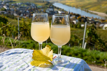 Autumn Wine Festival Germany Moselle
