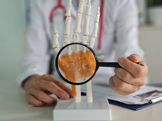 Examination of a skeletal hand model with emphasis on wrist bones using a magnifying glass in a medical office