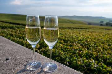 Tasting of Champagne sparkling wine with little bubbles on green vineyards near Ludes, Louvois, Val de Livre, Champagne, France