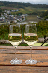 Glasses of white dry riesling wine made on Moselle river valley in Germany or Luxembourg, view on terraced vineyards