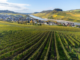 Aerial view of terraced vineyards around Nittel, Rhineland-Palatinate, Germany and views across Moselle River on vineyard hills of Luxembourg near Grevenmacher