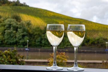 Glasses of white dry riesling wine made on Moselle river valley in Germany or Luxembourg, view on terraced vineyards