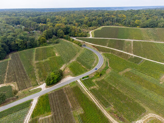 Aerial view on green grand cru vineyards near Oger and Mesnil-sur-Oger, region Champagne, France. Cultivation of white chardonnay wine grape on chalky soils of Cote des Blancs