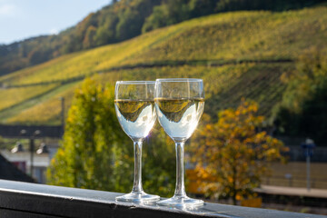 Glasses of white dry riesling wine made on Moselle river valley in Germany or Luxembourg, view on terraced vineyards