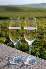 Tasting of Champagne sparkling wine with little bubbles on green vineyards near Ludes, Louvois, Val de Livre, Champagne, France