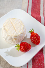 Cheese collection, soft sheeps milk brebis French cheese with mold produced on cheese farm in Basque Country in France
