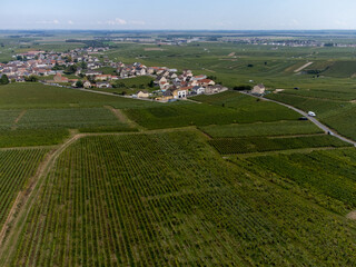 Aerial view on green grand cru vineyards near Oger and Mesnil-sur-Oger, region Champagne, France....