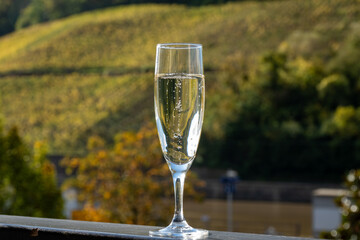 Tasting sparkling white wine, traditional champagne method making of cremant in caves on Moselle river valley in Luxembourg, glasses of wine and view on terraced vineyards