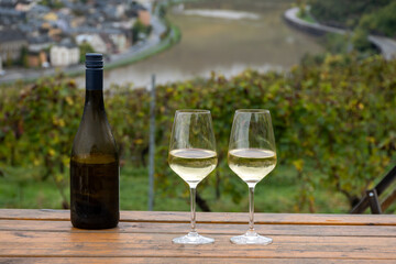 Glasses of white dry riesling wine made on Moselle river valley in Germany or Luxembourg, view on terraced vineyards