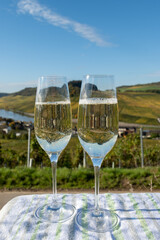 Tasting sparkling white wine, traditional champagne method making of cremant in caves on Moselle river valley in Luxembourg, glasses of wine and view on terraced vineyards