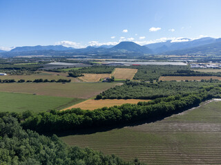 Fototapeta premium Agricultural region with lavender or lavandine plants, fruit orchards near Sisteron, Haute-Durance, Franse departement Alpes-de-Haute-Provence, in summer