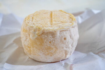Cheese collection, soft goat French cheese with mold crottin de Chavignol produced near Sancerre on cheese farm, Loire Valley close up