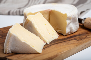 Cheese collection, French reblochon de savoie gratin cow milk cheese close up