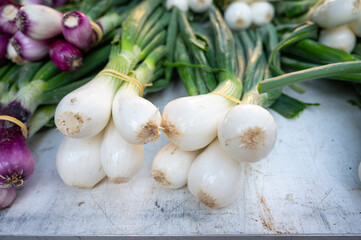 Bunches of fresh young heads of white garlic and onion on local farmers market in Dordogne, France, close up