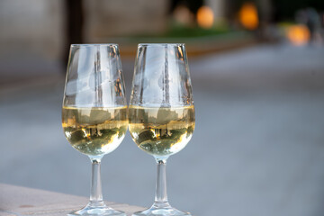 Sherry wine glasses with fino and old bogedas jerez wine cellars on background in Jerez de la Frontera, wine glasses outdoor, cityview, Andalusia, Spain