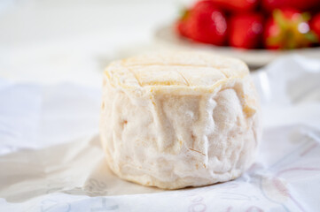 Cheese collection, soft goat French cheese with mold crottin de Chavignol produced near Sancerre on cheese farm, Loire Valley close up