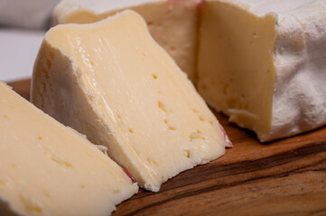 Cheese collection, French reblochon de savoie gratin cow milk cheese close up