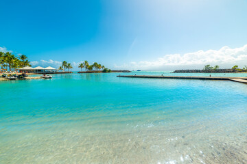 Turquoise water under a blue sky in a tropical beach in Guadeloupe
