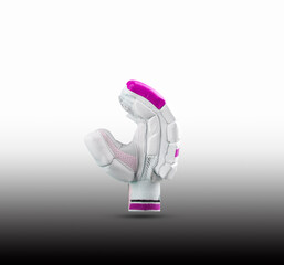 cricket gloves for batsman on white background