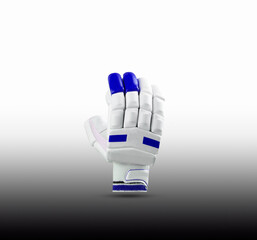 cricket gloves for batsman on white background