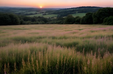 Fototapeta premium 空, 野原, 夕焼け, 風景, 草, 自然, 牧草地, 緑, 太陽, サマータイム, 日の出, 雲, ルーラル, 