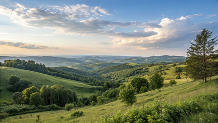 Naklejka premium landscape
