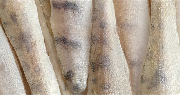 Frozen zander (pike-perch) fish fillet with skin as a background texture. Table spin.