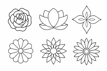 Elegant Flower Illustration Pack