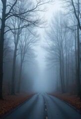 Fototapeta premium road in the fog
