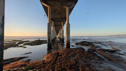 Ocean Beach Pier in San Diego California during king tides at low tide where the tidal pools are visible. 