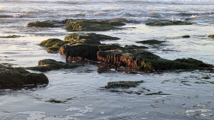 Ocean Beach Pier in San Diego California during king tides at low tide where the tidal pools are visible. 