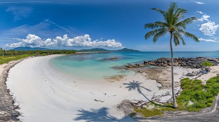 Obraz premium Stunning Tropical Beach Panorama: White Sand, Turquoise Waters, and Palm Tree