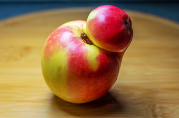 Conjoined apples, two apples have grown together. Double apple. An apple development anomaly.