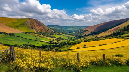 Obraz premium Breathtaking View of Rolling Hills and Vibrant Fields Under a Blue Sky in a Countryside Landscape