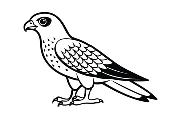  cute-hawk-cartoon