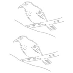 Simple outline drawing of a myna bird, perfect for coloring, crafting, and educational use