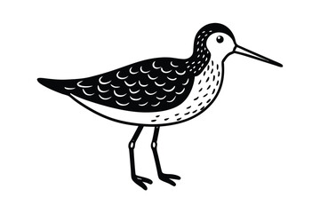  cute-dunlin-cartoon-coloring-page