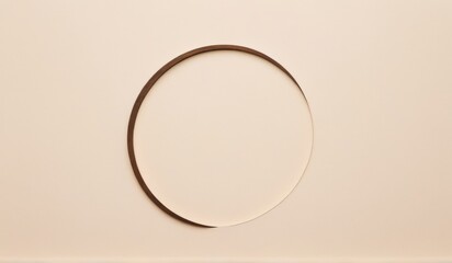 A minimalist image of a perfectly round, off-white disc against a neutral backdrop.
