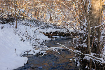 frozen river in winter